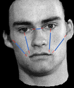 <ul><li><p>small variations of average spaces</p></li><li><p>distance of main features</p></li></ul><p></p>