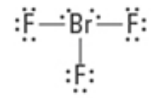 <p>What are the Electron and Molecular Geometries? </p>