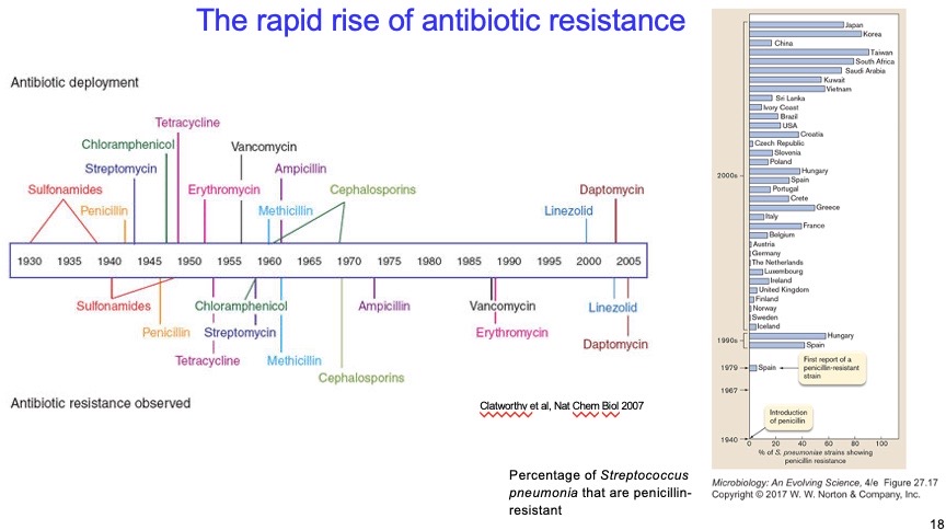 <p><span><span>Daptomycin affects the function of bacterial cell membranes. Linezolid is a protein synthesis inhibitor</span></span></p>