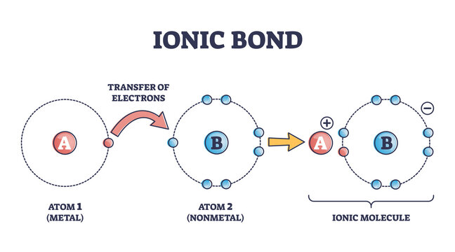 <p>A chemical bond resulting from the attraction between oppositely charged ions.</p>