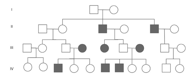 <p>Is individual I-1 a boy or a girl?</p>