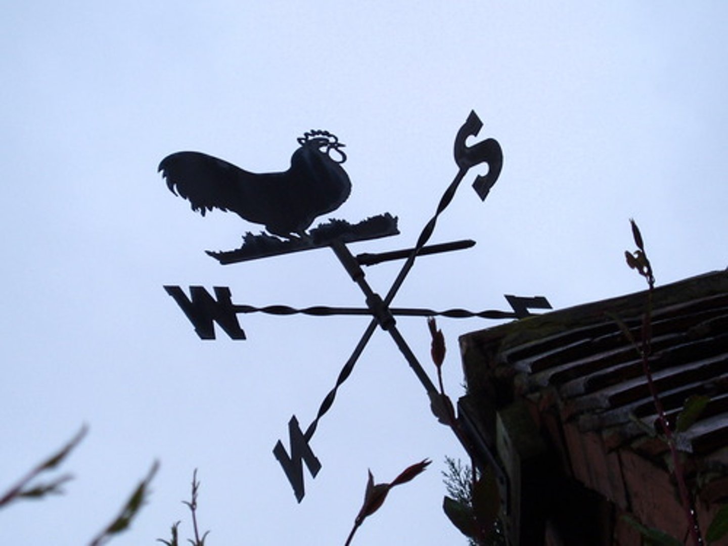 <p>measures wind direction</p>