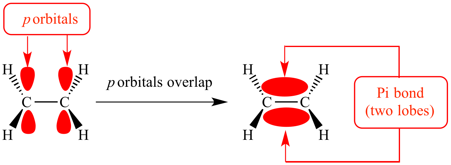 <ul><li><p>sideways overlap of two adjacent p orbitals</p></li><li><p>got 2 parts to it one above and below the molecular axis</p></li><li><p>these p orbitals are dumb bell shaped</p></li><li><p>weaker bonds than sigma bonds as the electron density is spread out above and below the nuclei</p></li><li><p>means the electrostatic attraction between the nuclei and shared pair of electrons are weaker</p></li><li><p>so they have relatively low bond enthalpy.</p></li></ul><p></p>