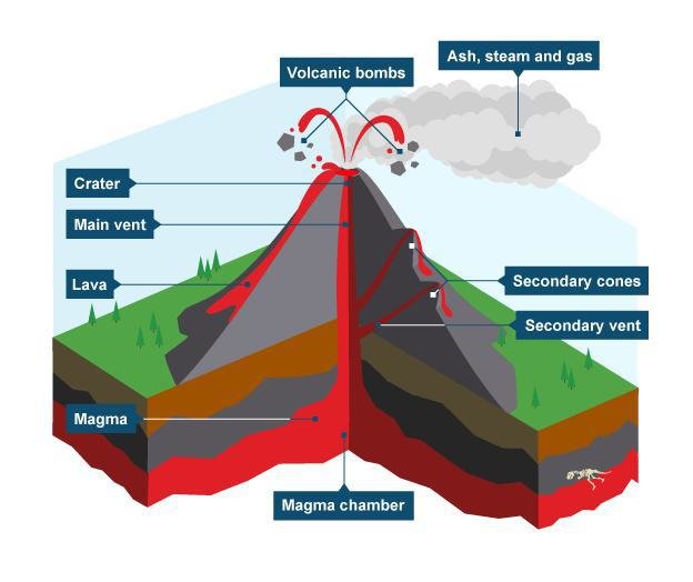 <p>The most common volcano. Known for its <mark data-color="red" style="background-color: red; color: inherit;">layers of lava flows and cinder</mark>. Built up by violent eruptions that leave the tephra followed by calm eruptions that leave lava flows. They build tall and steep volcanoes.</p>