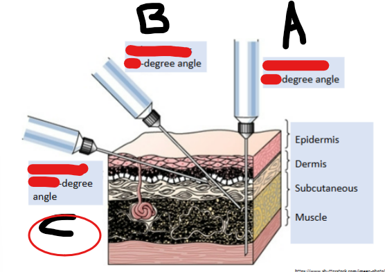 knowt flashcard image