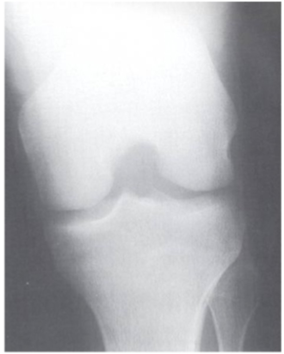 <p>What view does this show?</p>