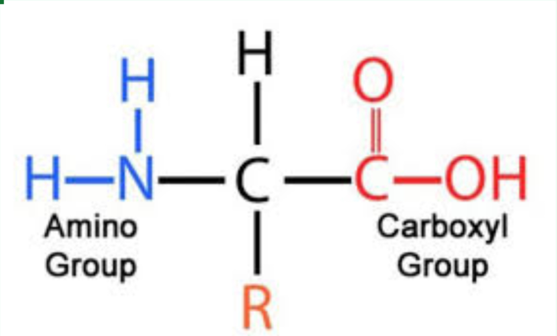 <p>What molecule structure is this</p>