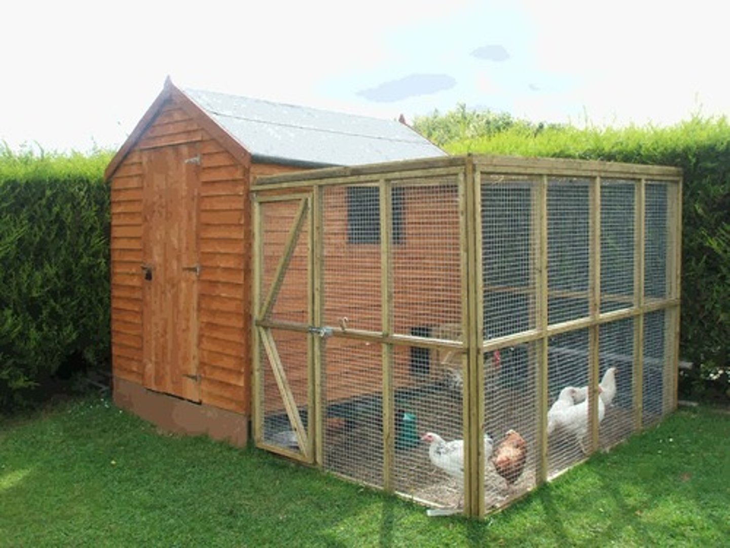 <p>chicken coop</p>