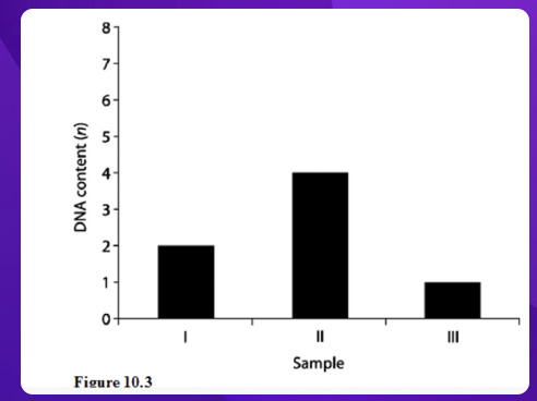 <p>This data shows the amount of DNA found in each cell. Which cell is in the G2 phase </p>