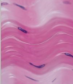 <p>what tissue is this </p>