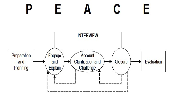 <p>P Planning and preparation</p><p class="MsoNormal">E Engage and explain</p><p class="MsoNormal">A Account, clarify and challenge</p><p class="MsoNormal">C Closure</p><p class="MsoNormal">E Evaluation</p>