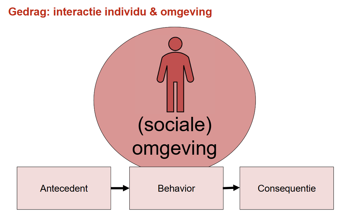 <p>Bij ontwikkelingsproblemen is de relatie tussen persoon en de (sociale) omgeving niet optimaal. </p><ul><li><p>Door aan antecedent en consequent iets te veranderen, kan gewenst (toenemen)b en/of probleemgedrag (afnemen) beinvloed worden. </p></li></ul><p></p>