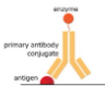 <p>What type of <strong>non-competitive</strong> immunoassay involves a labeled antigen/antibody binding to the patients antigen/antibody in serum?</p>