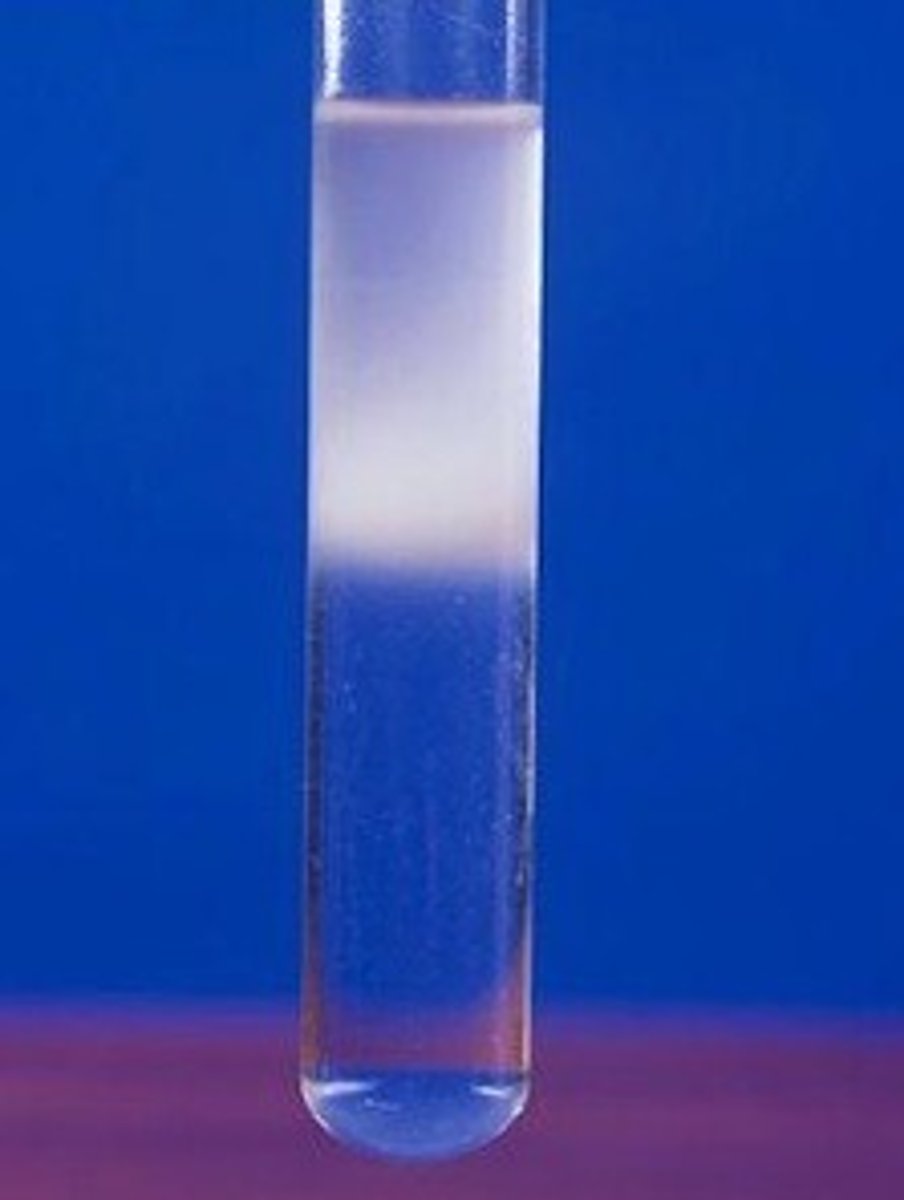 <p>Emulsion Test :<br>Shake substance with ethanol until fully dissolved then add the solution to water if there are any lipids then they will precipitate out of the liquid and show up as a milky emulsion</p>