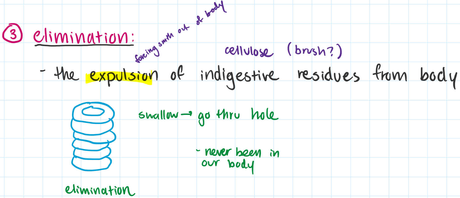 <p><u>expulsion (force smth out)</u> of indigestive residues from body (poop)</p><ul><li><p>stuff that has never been “in” our body since not absorbed; just gone thru our hole </p></li></ul><p></p>