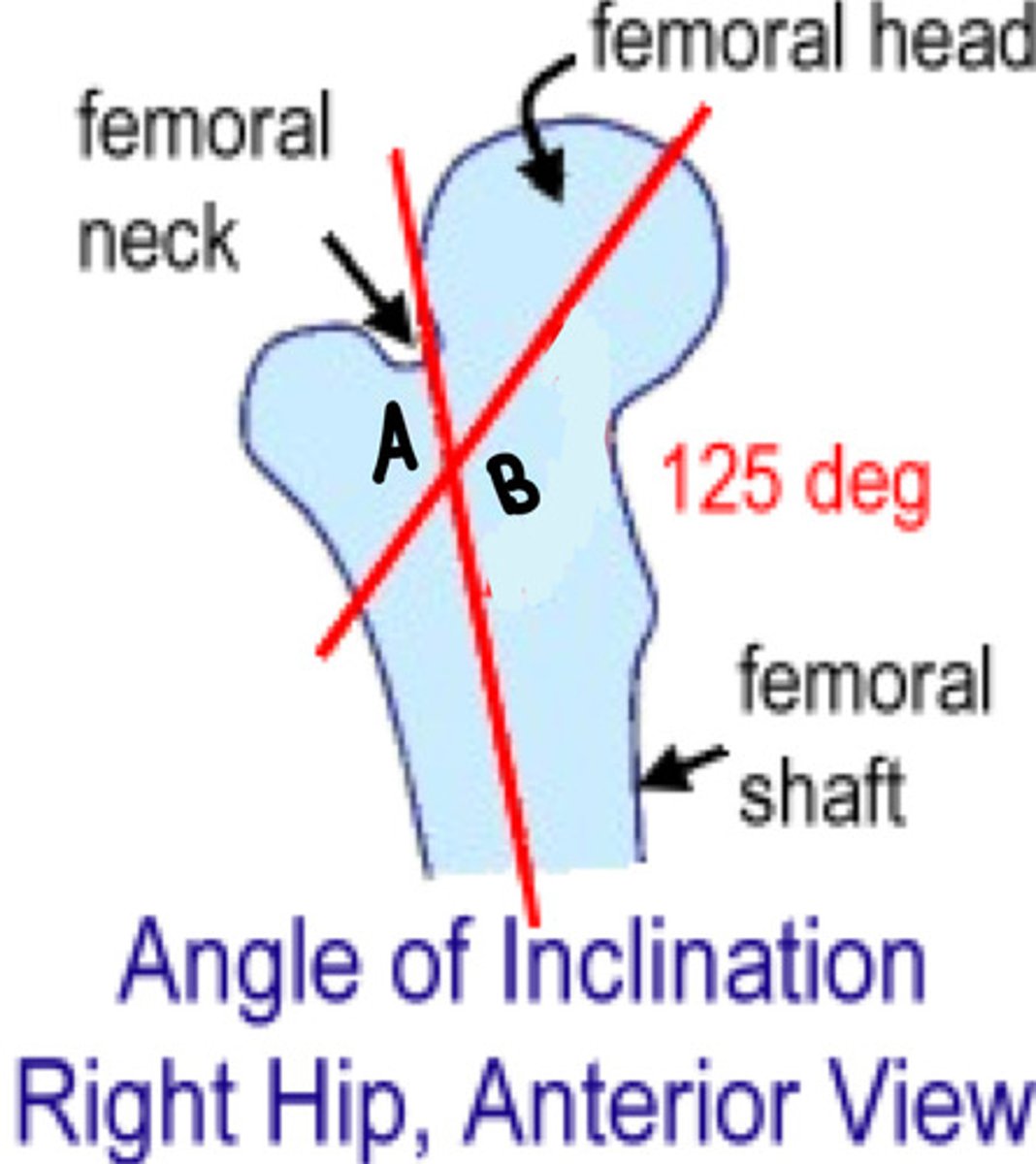<p>On what side is the angle of inclination?</p>