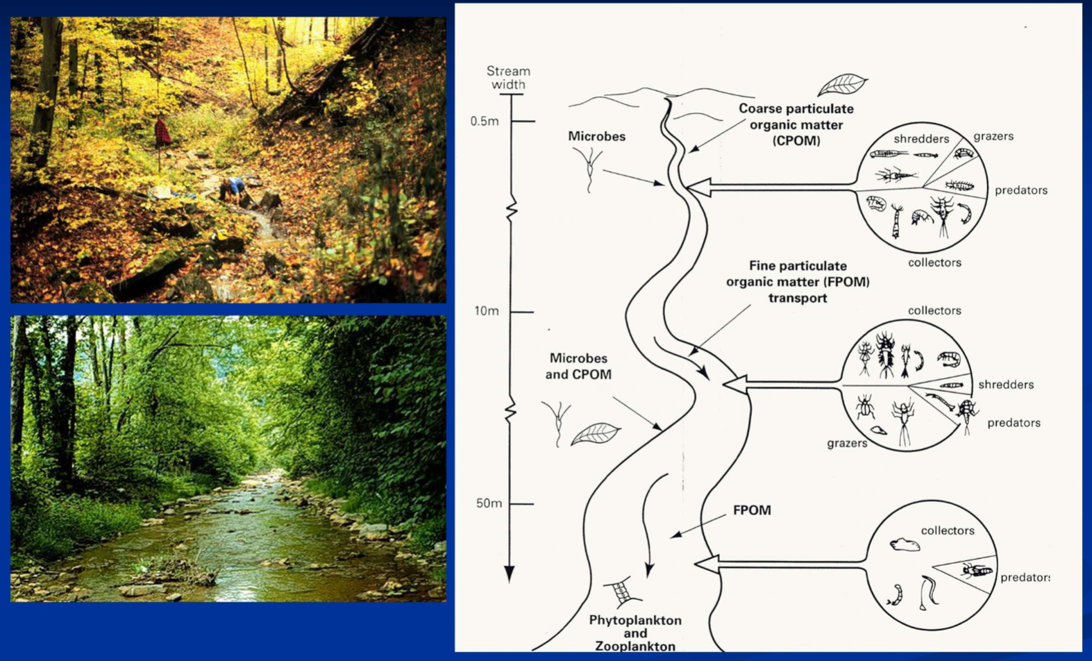 <p>Continuum of Change</p>