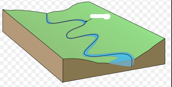 <p>Fastest flowing part of stream</p>