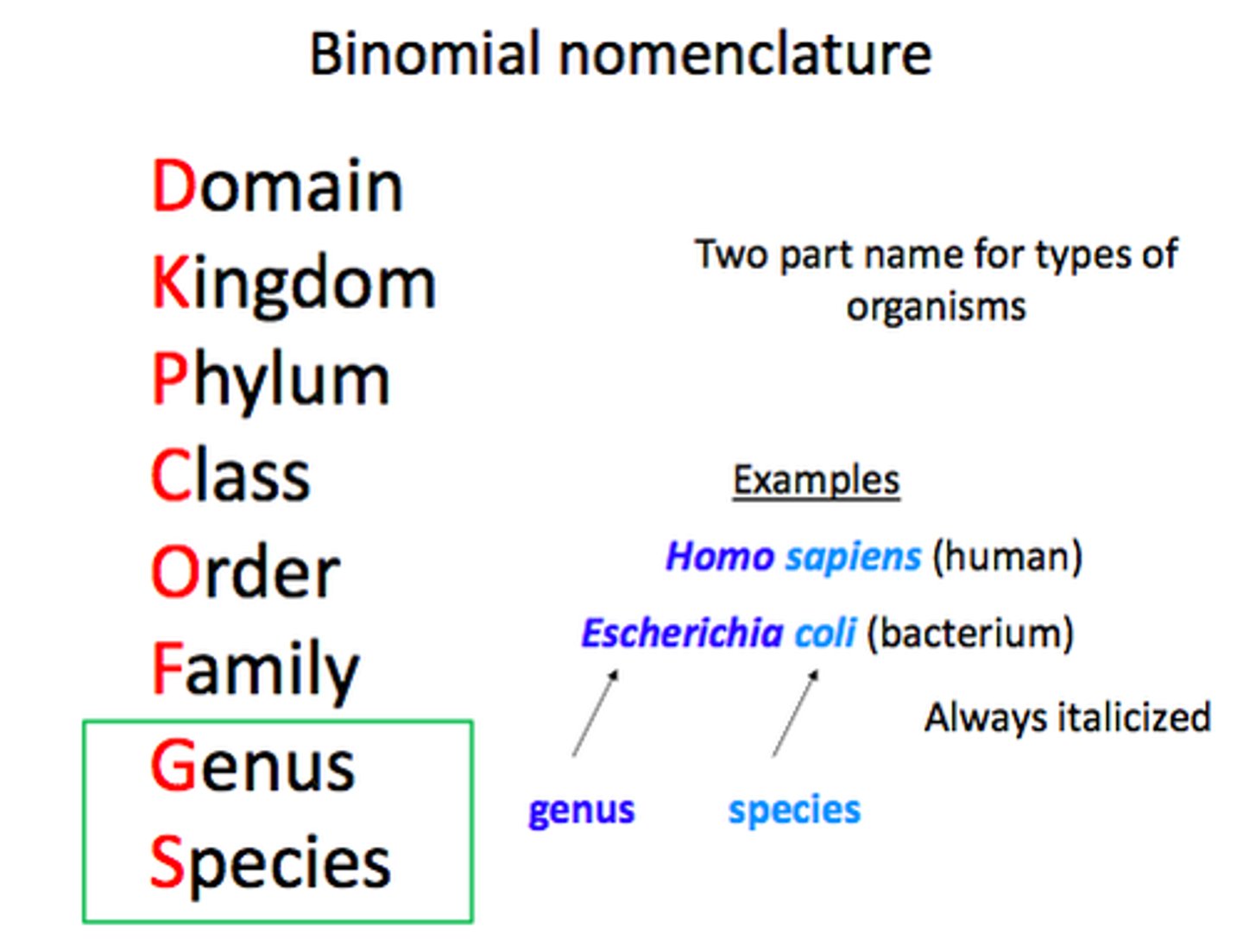 <p>Genus is capitalised and name is italicised</p>