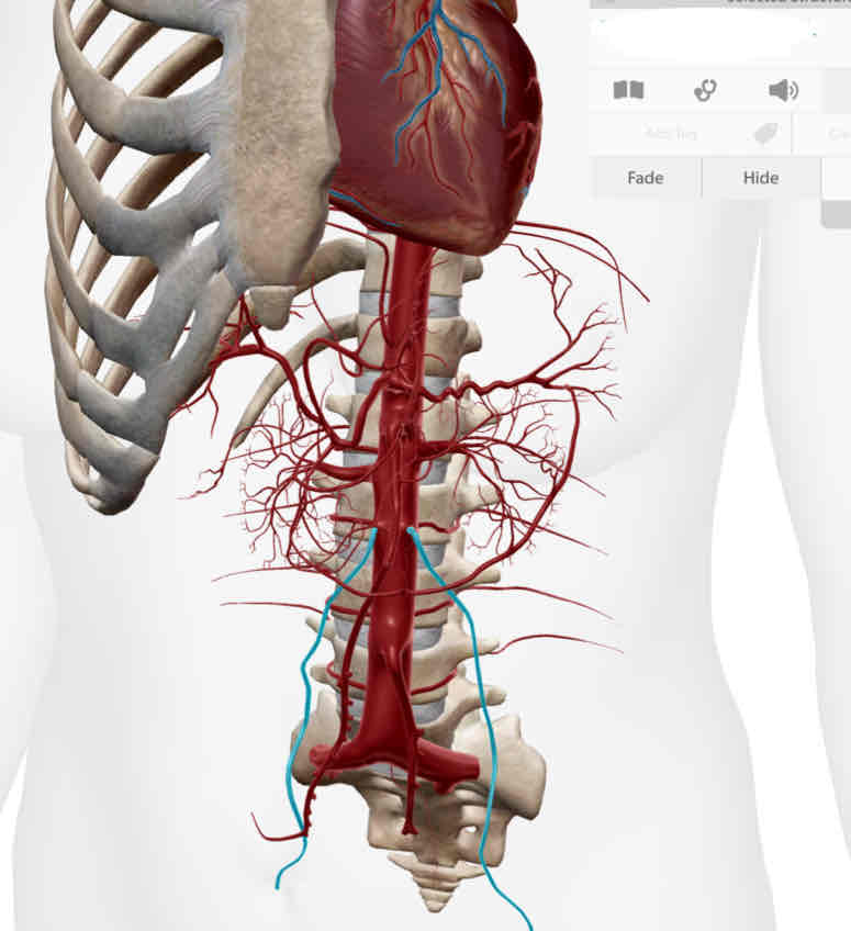 <p><span><strong><em>Note: Pay attention to location</em></strong></span></p>