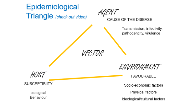 <ul><li><p>disease is always the interaction between a host, agent and in an environment. </p></li><li><p>how susceptible is the host (host is where reproduction of the agent takes place). individual level.</p></li><li><p>environment needs to be favourable. (climate, health system, public transport, education level of the country). societal level.</p></li><li><p>vector - not always present, can be a mosquito, needle etc.</p></li></ul><p></p>