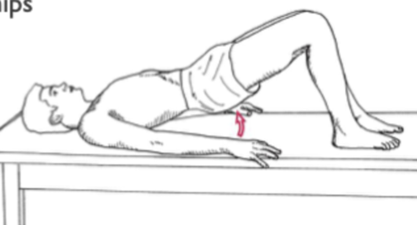 <p>pt hooklying</p><p>-pt presses upper back and feet into mat while elevating pelvis and extending hips</p>