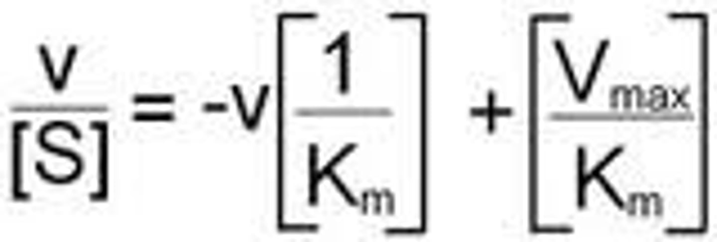 <p>A plot used to obtain a more accurate indication of Km and Vmax. Simplified - v/[S] so the figures used to plot the original hyperbolic rectangle are used dviding the enzyme byt hte substrate. These new figures are then plotted on along the horizontal axis and a best fit line drawn along them. The point at which the line crosses the vertical axis is the Vmax, the point at which it crosses the horizontal axis is the Km.</p>