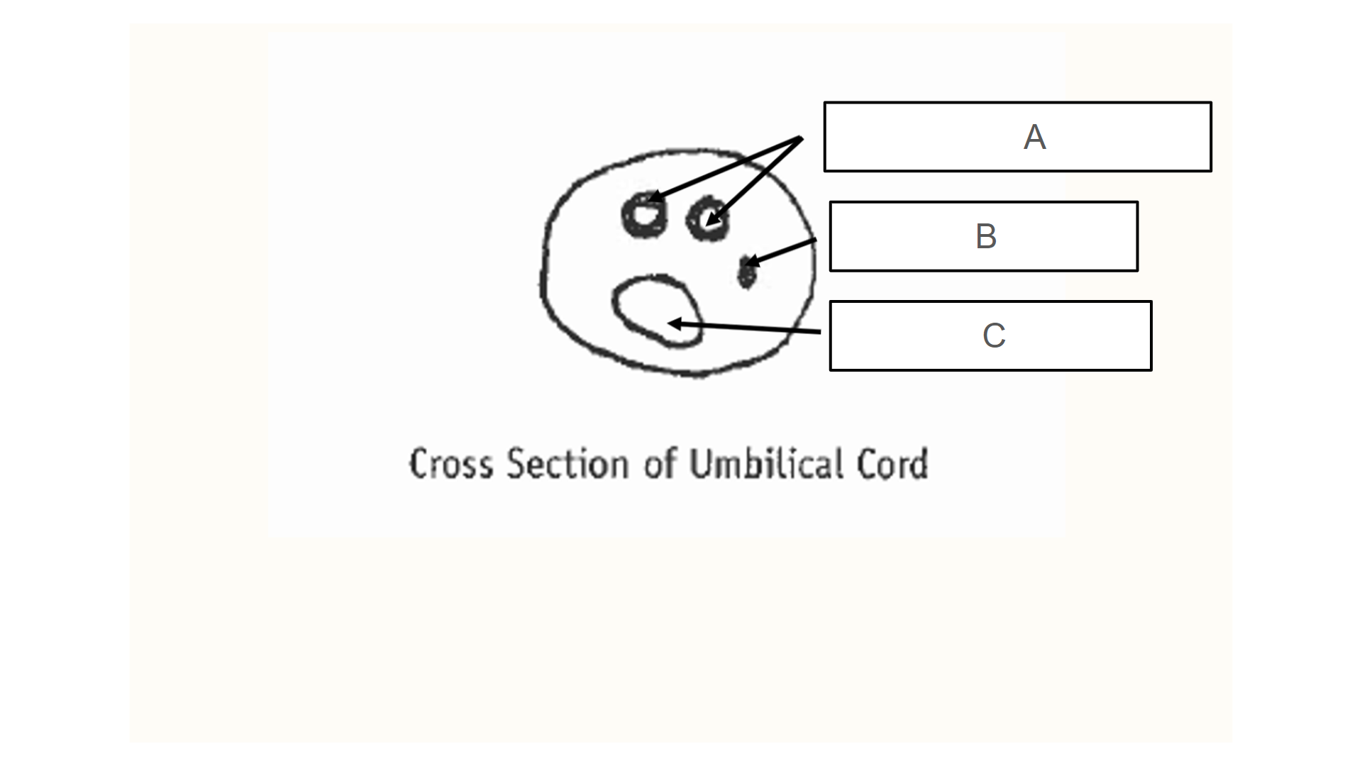 <p>What is C?What</p>