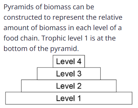 <p>primary consumers(level 2)</p>