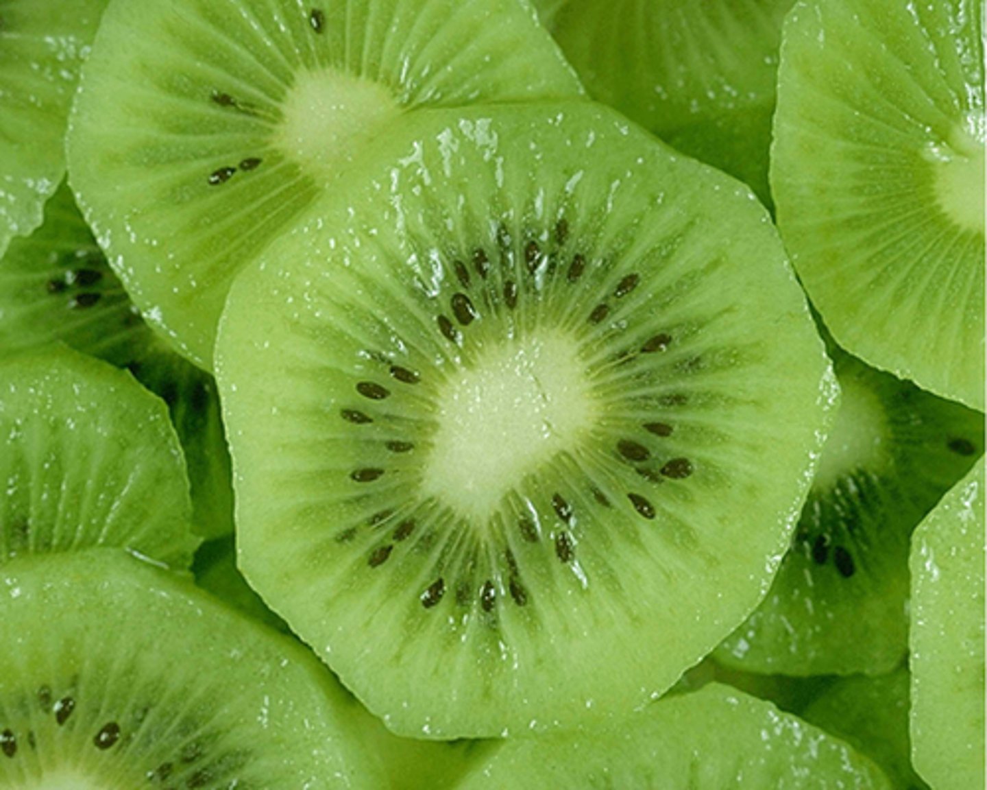 <p>protection, dispersal and nutrition to seeds</p>