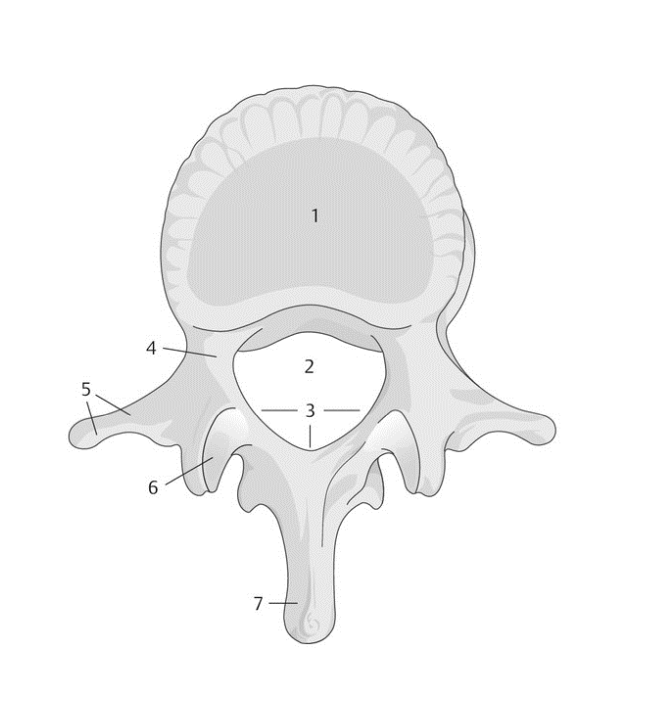 <p>5</p>