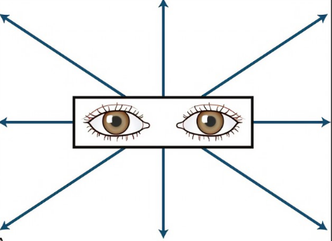 <p><span>=leading the eyes through the 6 cardinal positions of gaze</span></p><ul><li><p><span>Have the pt. follow an object/finger held 12 inches from their face w their eyes only</span></p></li><li><p><span>Should exhibit symmetrical, smooth, coordinated and parallel movement.</span></p></li></ul>