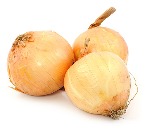 <p>Onion</p>