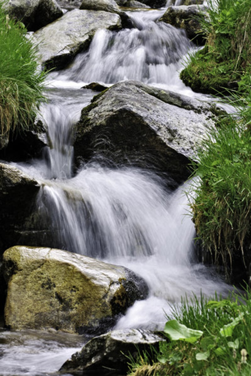 <p>quickly, fast</p><p>빨리</p>