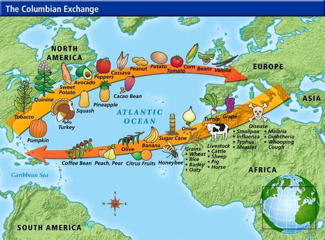 <p><span><span>Which foods were first introduced to the Americas by Europeans through the Columbian Exchange?</span></span></p>