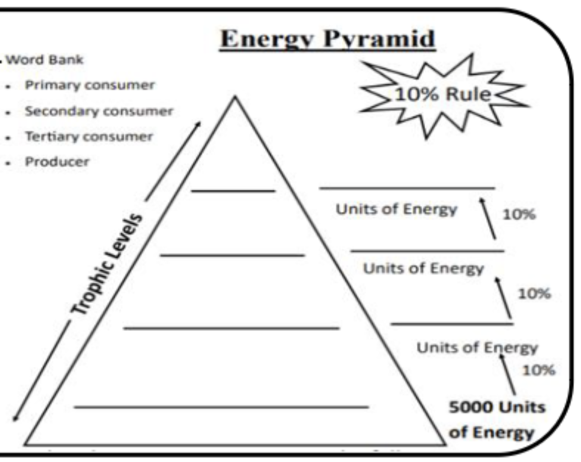 <p>Which categories are predators:</p>