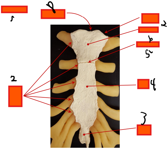 <p>Where is the body?</p>