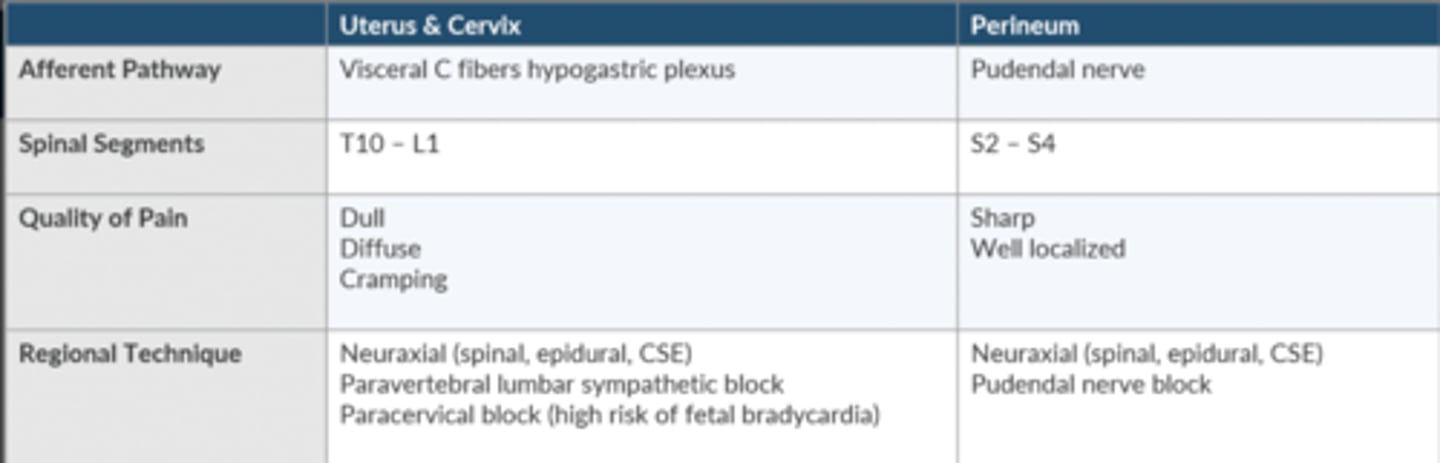 <p>Neuraxial techniques</p><p>T10-L1 level for stage 1</p><p>Extend to S2-S4 for stage 2</p>