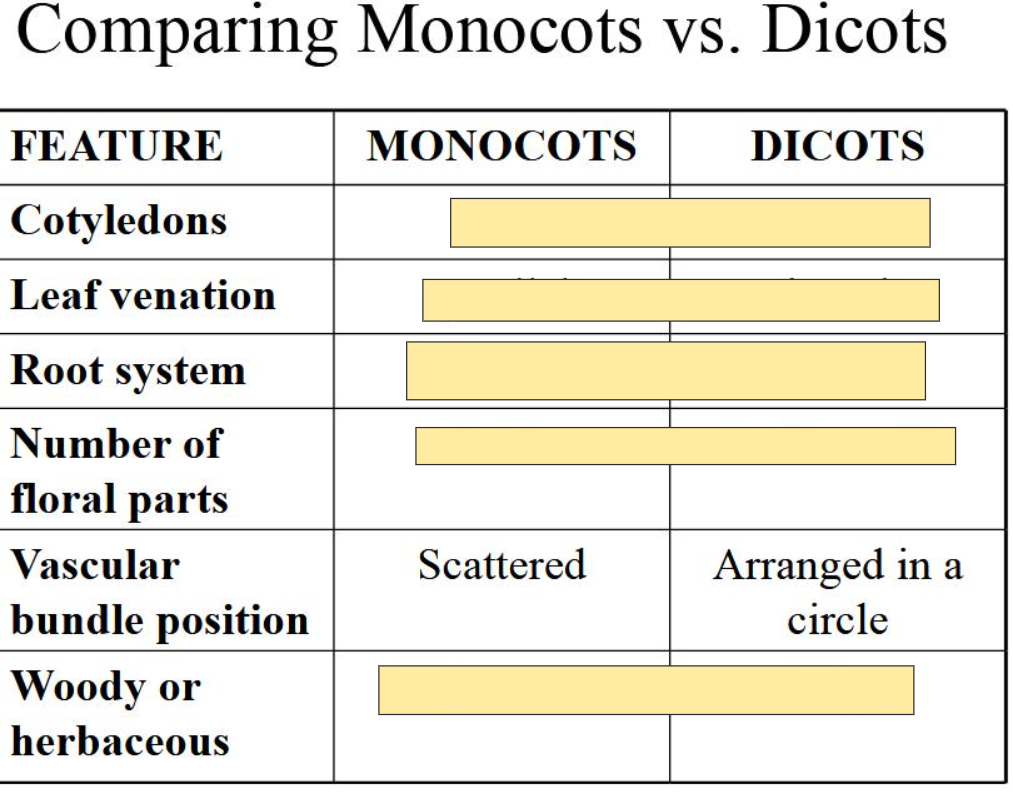 <p>M- Scattered<br>D- Arranged in a Circle</p>