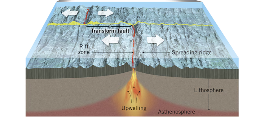 <p>line upwelling magma, where 2 plates spread apart, shallow focus EQ’s and volcanic ranges, like finger nails growing, Iceland ridge on boundary of North American and Eurasian plate</p>