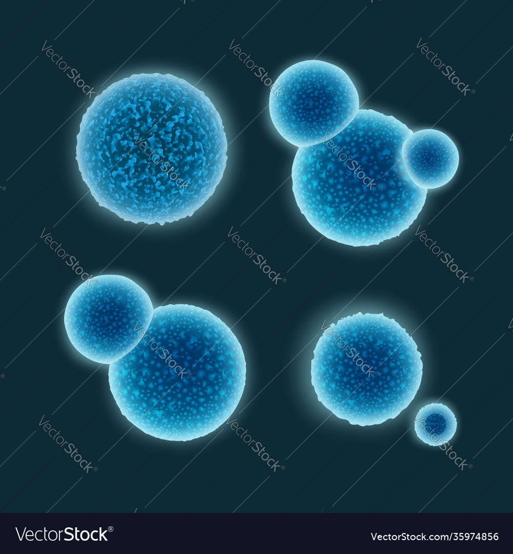 Round-shaped bacteria.