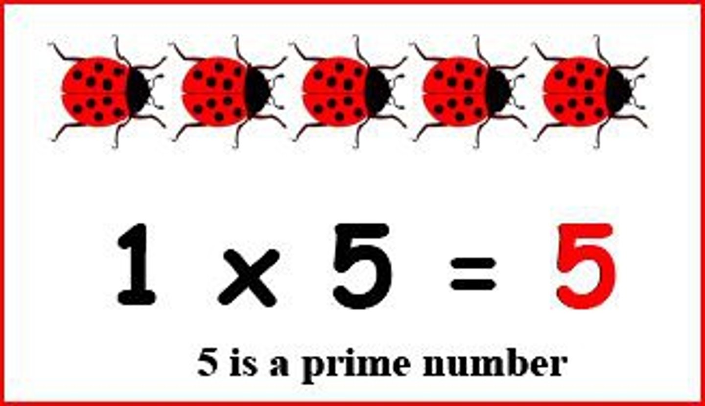 <p>A whole number greater than 0 that has exactly two different factors, 1 and itself.</p>