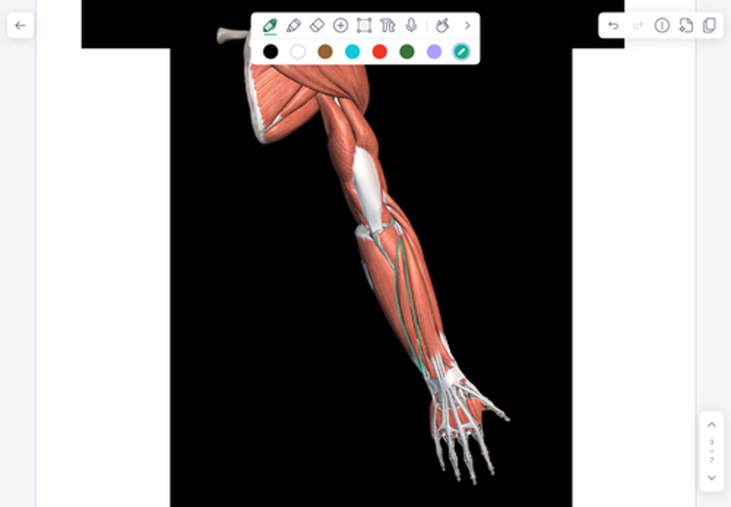 knowt flashcard image