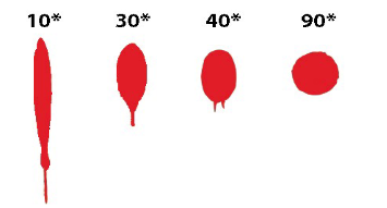 <p>What are the characteristics of these blood droplets in relation to the angle in which they fell</p>