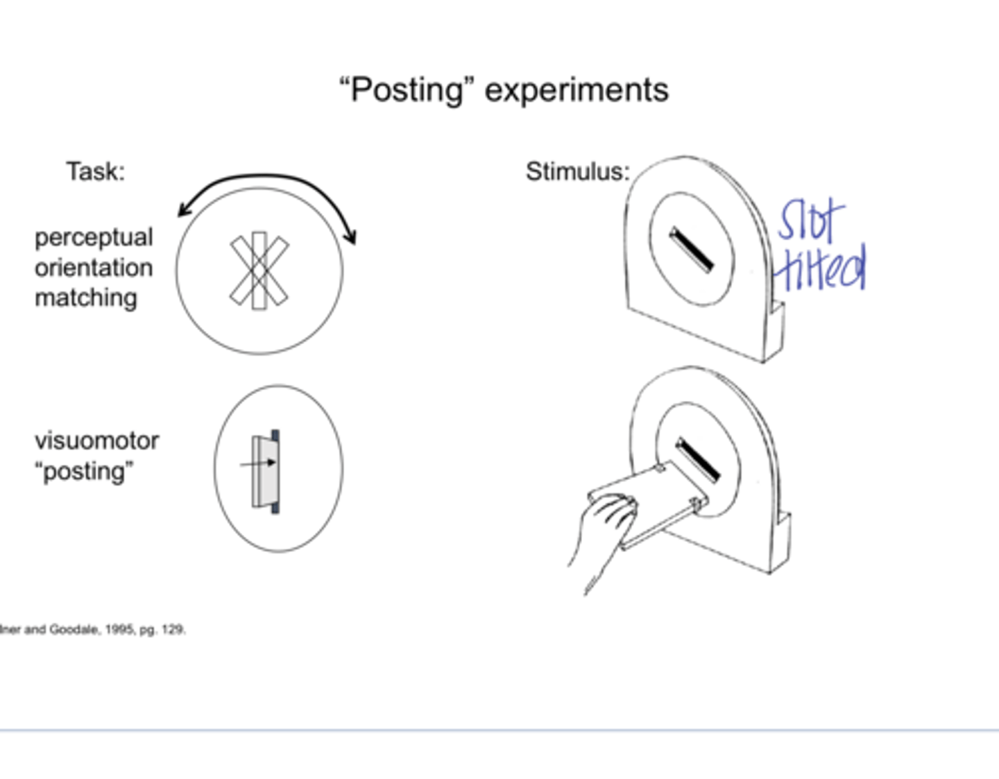 <p>What is a posting experiment?</p>