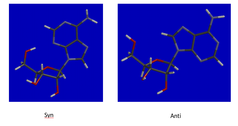 <p>Base alterations that favor the______configuration can lead to non-canonical base pairing considering that the_______configuration is the preferred configuration</p>