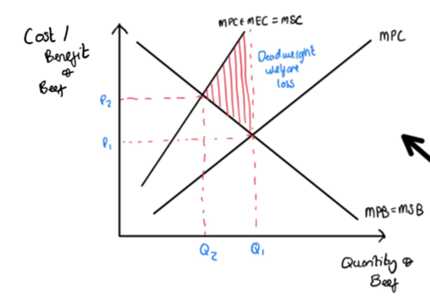 <p>- Production of goods and services causes private costs</p><p>- Negative externalities of production occur when there is an external cost associated with the making of a good or service</p><p>- This means, that in the free market, goods are often overproduced by firms who are seeking profit as shown by Q1 Q2</p><p>- This overproduction is represented by MPC, which reflects the marginal private costs of producing units</p><p>- However, the socially optimum level of consumption (MSC) accounts for external costs, such as air pollution, noise pollution and industrial waste, and the costs associated with internalising it</p><p>- This is where MSC = MEB (Marginal external benefits)</p><p>- The welfare loss for not internalising the externality can be shown by area shaded on the diagram</p><p>- Socially optimum level of production and consumption is Q*P*</p>