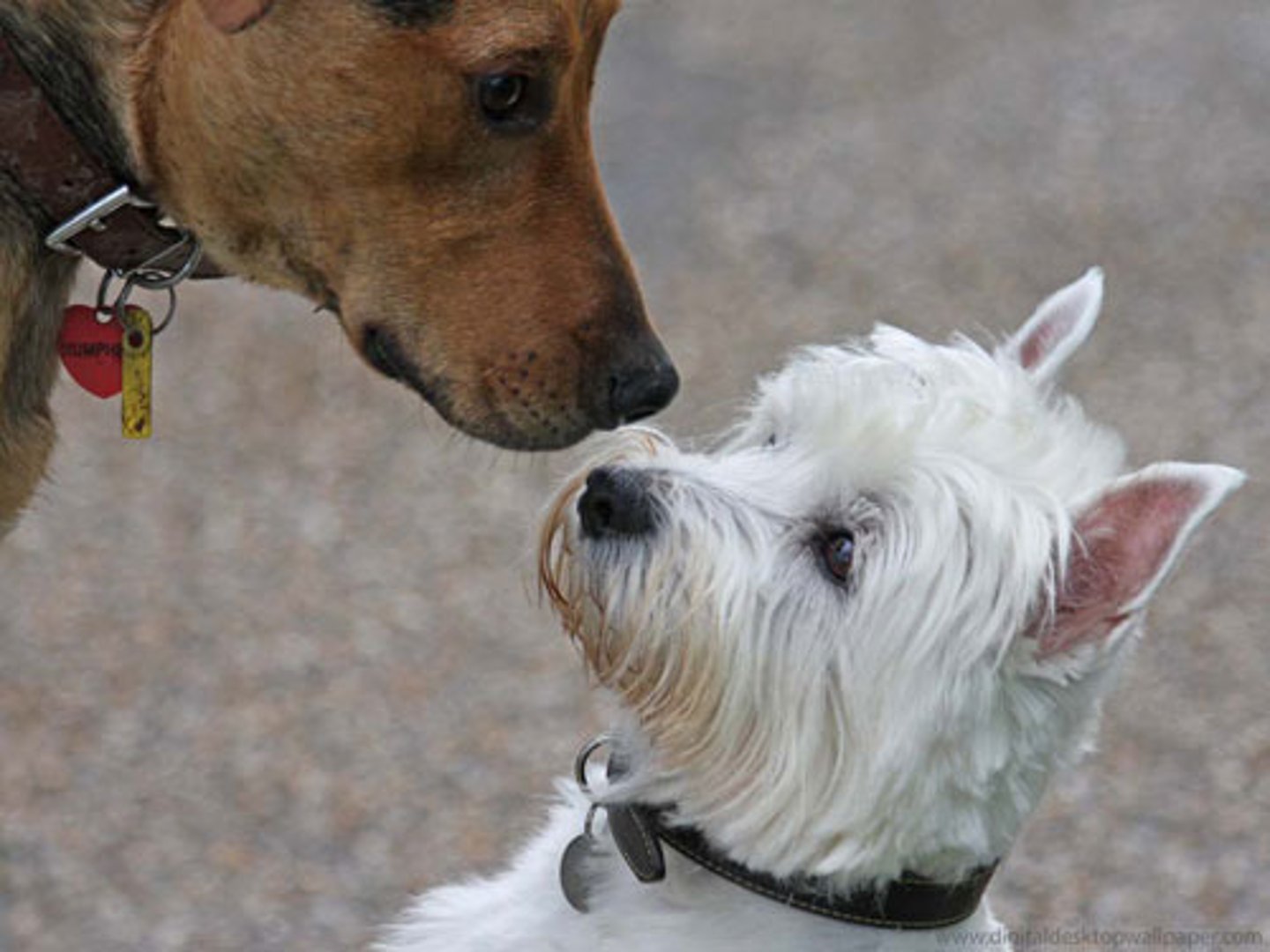 <p>He met his friends.</p>