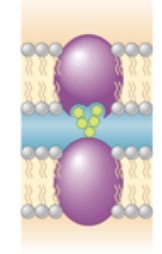 <p>What is this?</p>