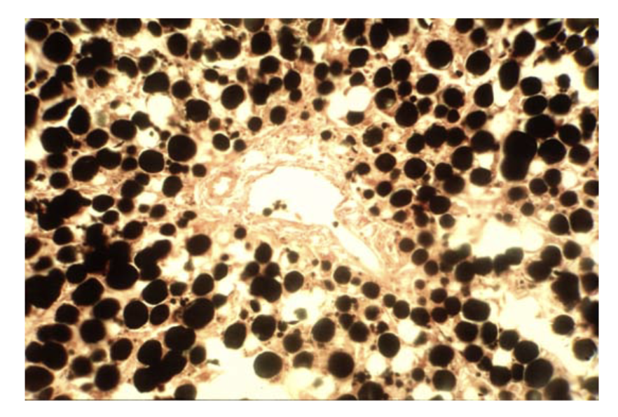 <p></p>